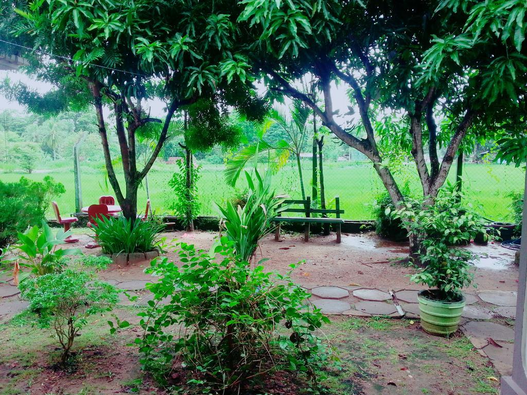 Hansika Guest Inn Buttala Dış mekan fotoğraf